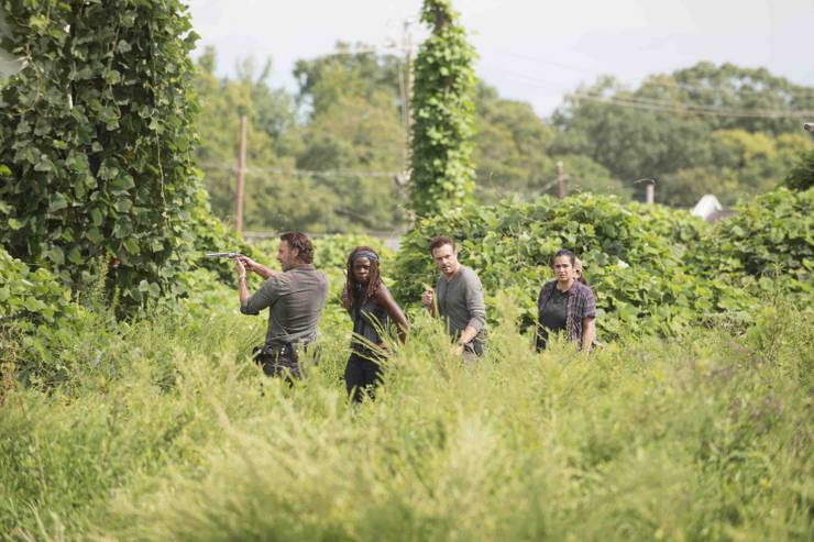 New Synopsis Photos for The Walking Dead S7 Tease AllOut War New Synopsis Photos for The Walking Dead S7 Tease AllOut War